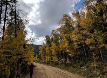 North Fork Poudre Campground