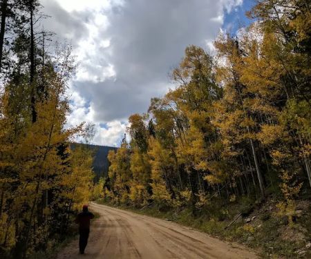 North Fork Poudre Campground