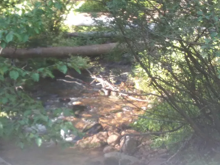 North Fork Poudre Campground Picture 5