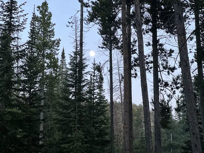 North Fork Poudre Campground Picture 8