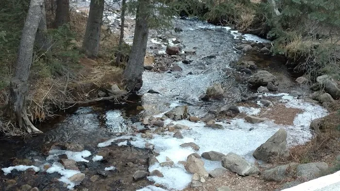 North Fork Poudre Campground Picture 7