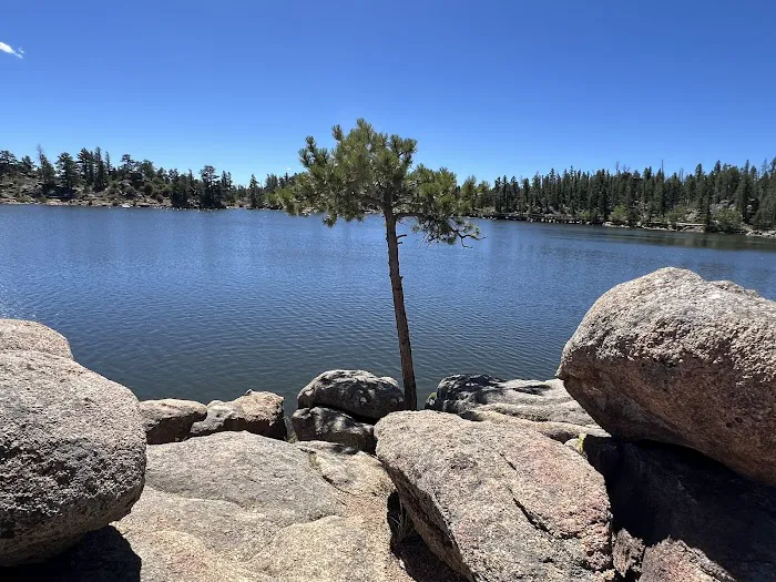 Bellaire Lake Campground Picture 4