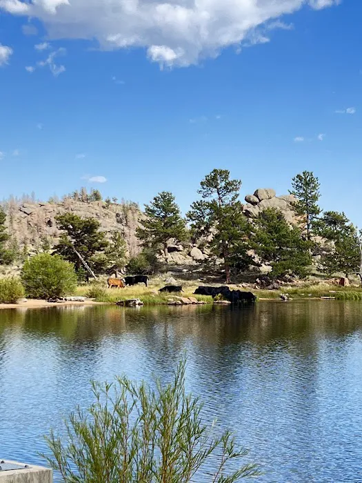 Bellaire Lake Campground Picture 10