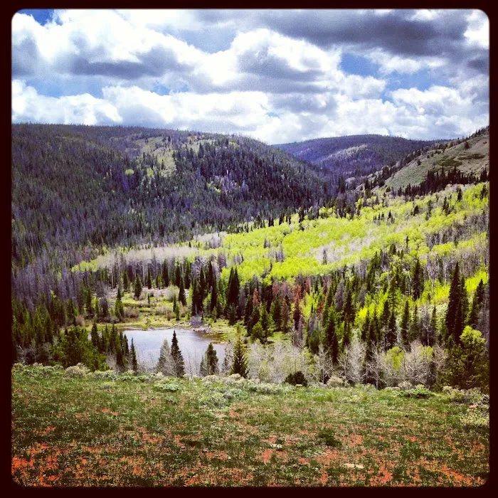 Hohnholz Lakes Campground Picture 10