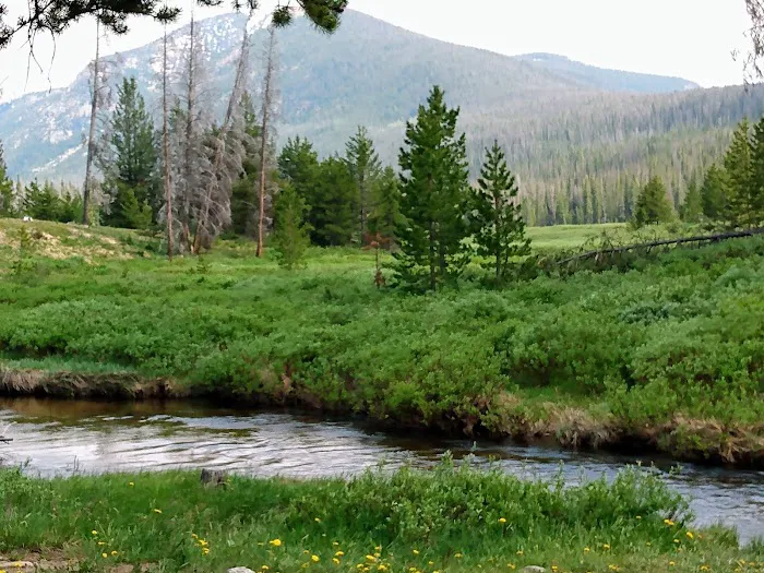 Hohnholz Lakes Campground Picture 6