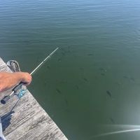 Hideaway Trail at Coquina Pond, Inc. ico