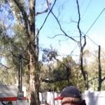 Bernard Trailer Park
