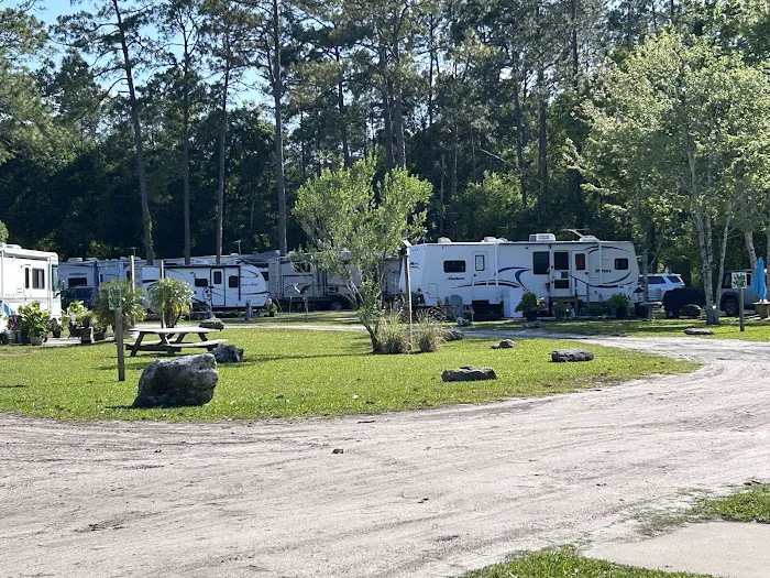 Smiling Gator RV Park and Storage Picture 10
