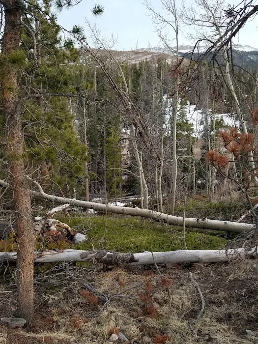 Tom Bennett Campground Picture 10