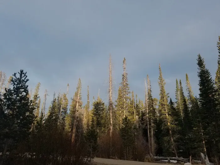 Tom Bennett Campground Picture 9