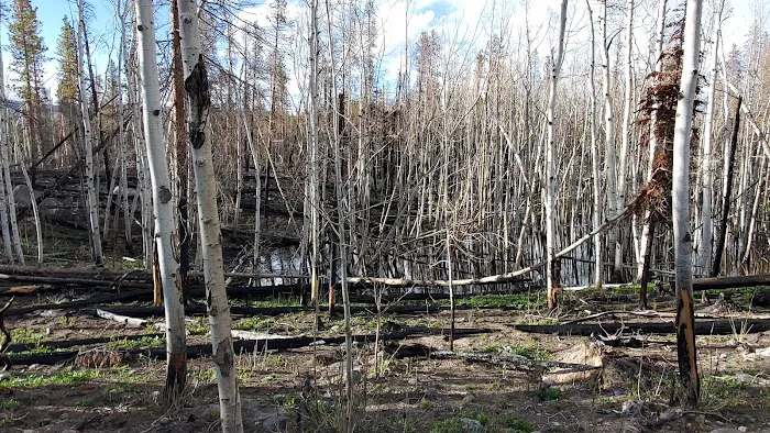 Tom Bennett Campground Picture 3