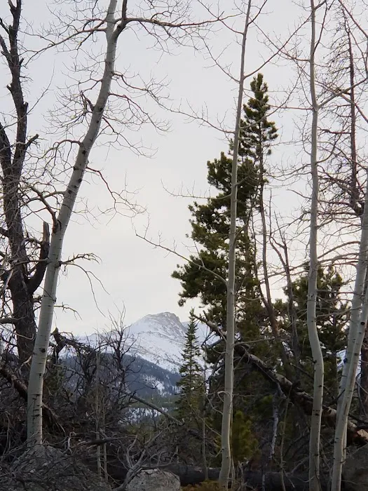 Tom Bennett Campground Picture 6