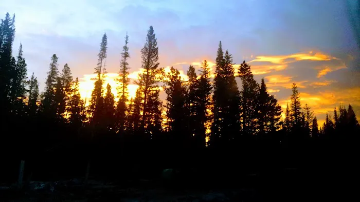 Tom Bennett Campground Picture 2