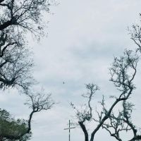 3 Duck Ranch ico