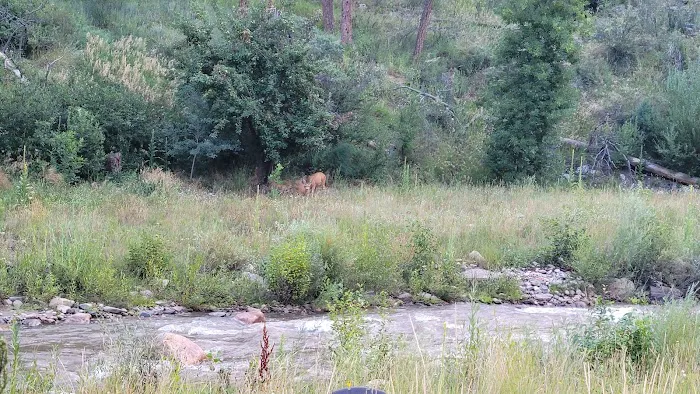 River Fork Campground Picture 4