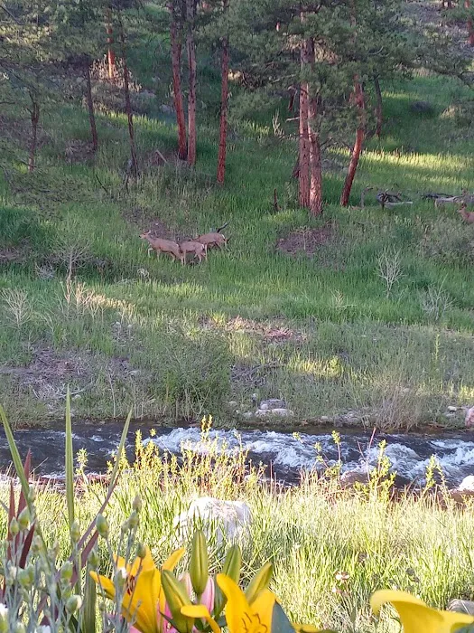 River Fork Campground Picture 1