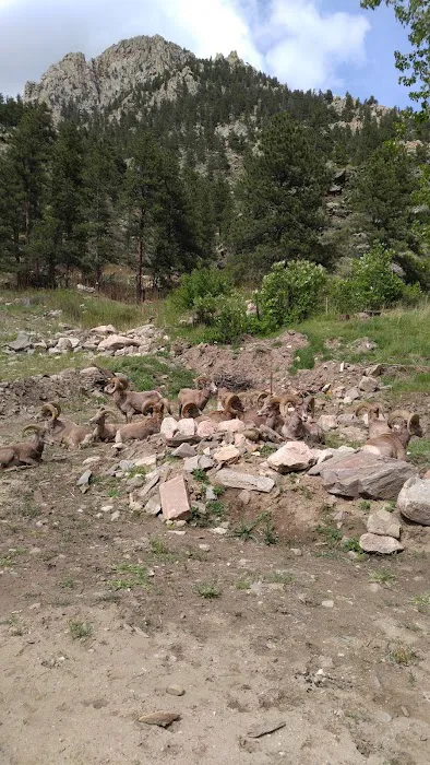 Riverbend Campground Picture 5