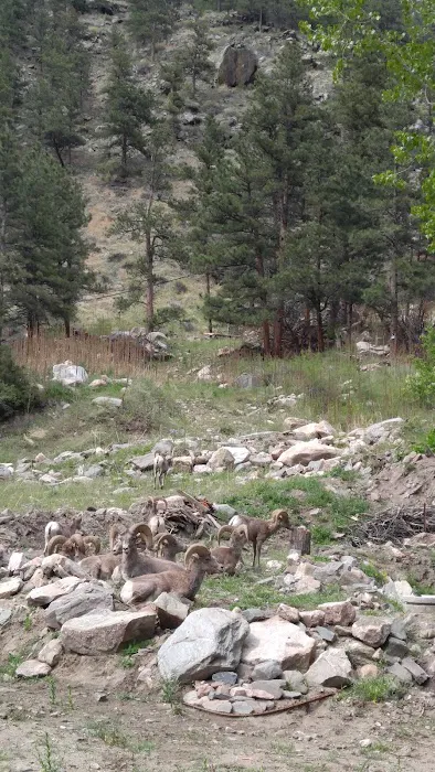 Riverbend Campground Picture 8