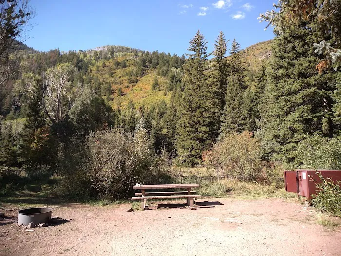 Avalanche Campground Picture 9