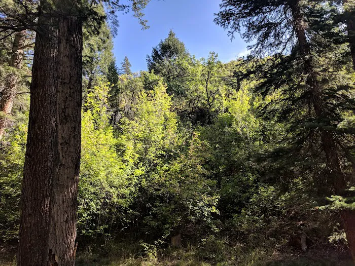 Avalanche Campground Picture 10