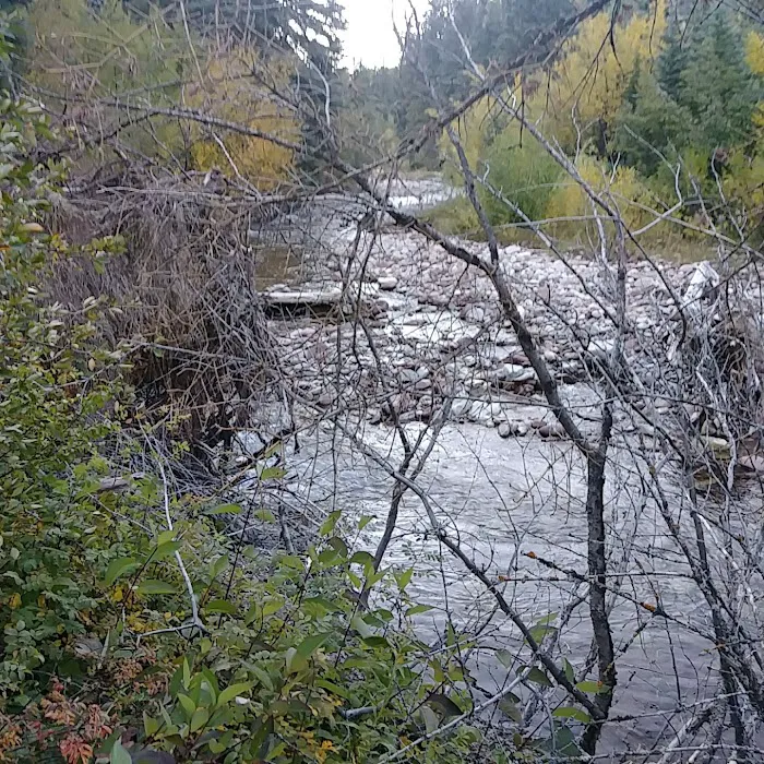 Avalanche Campground Picture 7