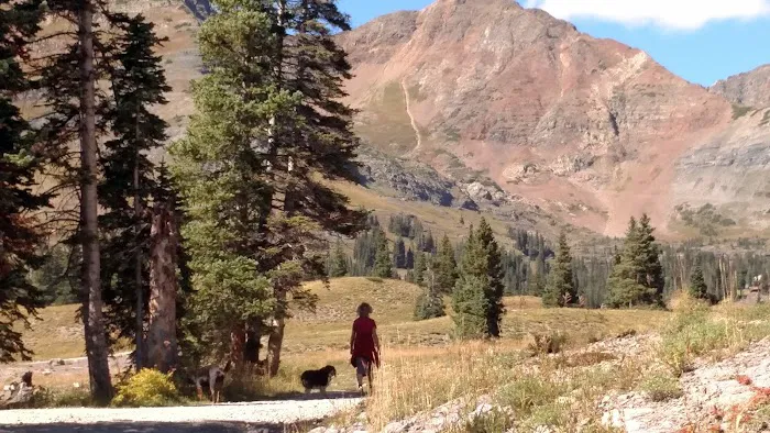 Lake Irwin Campground Picture 6