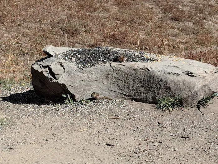 Lake Irwin Campground Picture 7