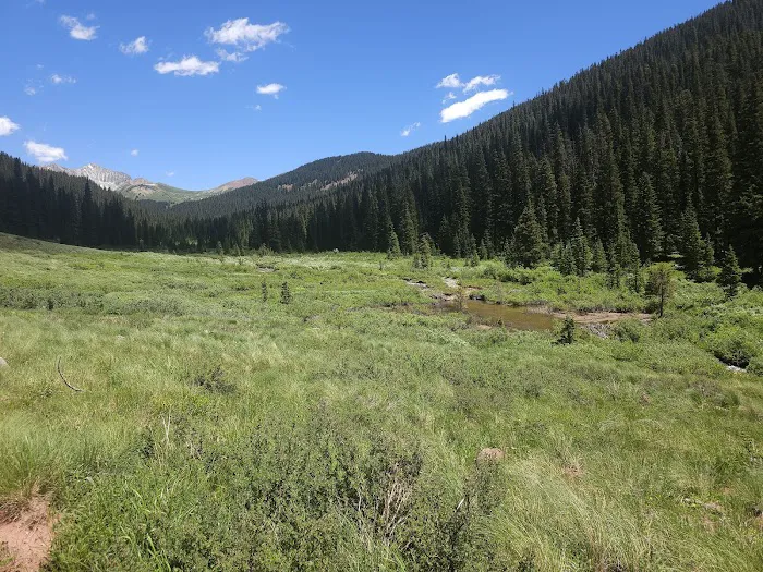Cement Creek Campground Picture 3
