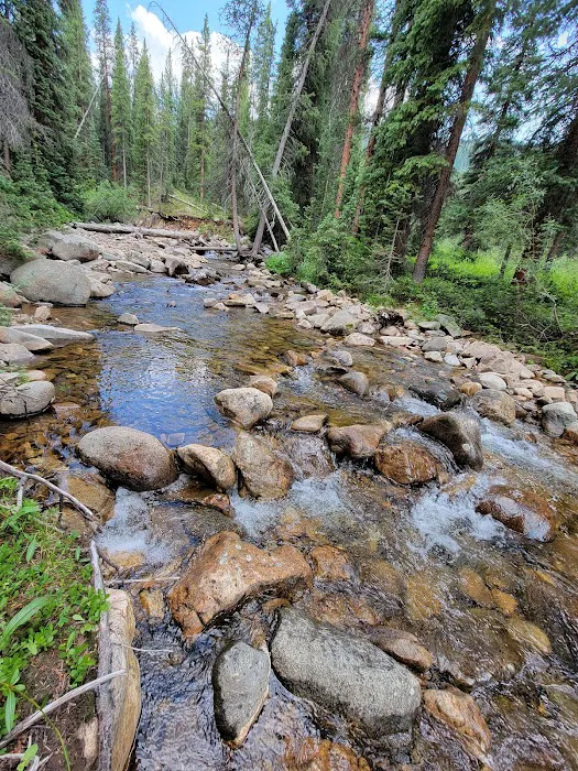 Cement Creek Campground Picture 10