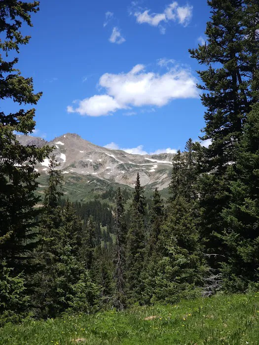 Cement Creek Campground Picture 6