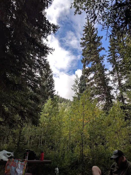 Cement Creek Campground Picture 9