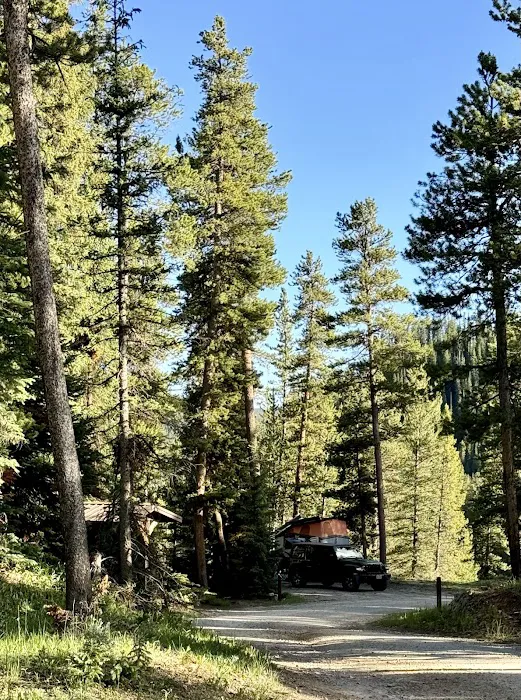 Mosca Campground - Gunnison RD Picture 4
