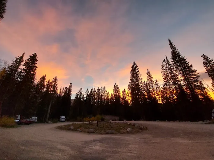Lost Lake Campground-Paonia RD Picture 6