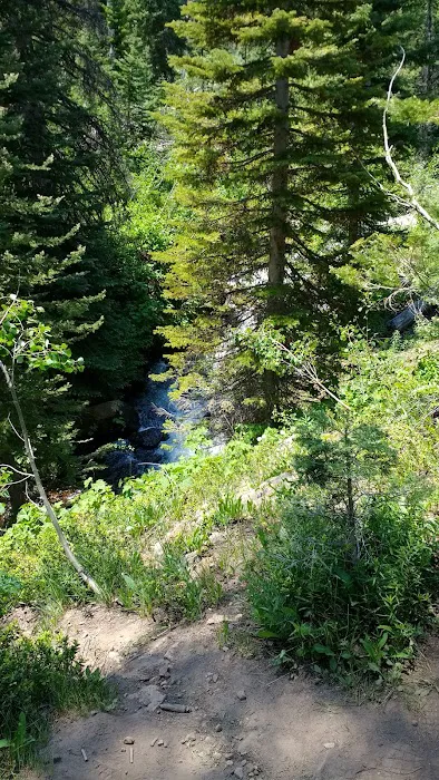 Lost Lake Campground-Paonia RD Picture 5