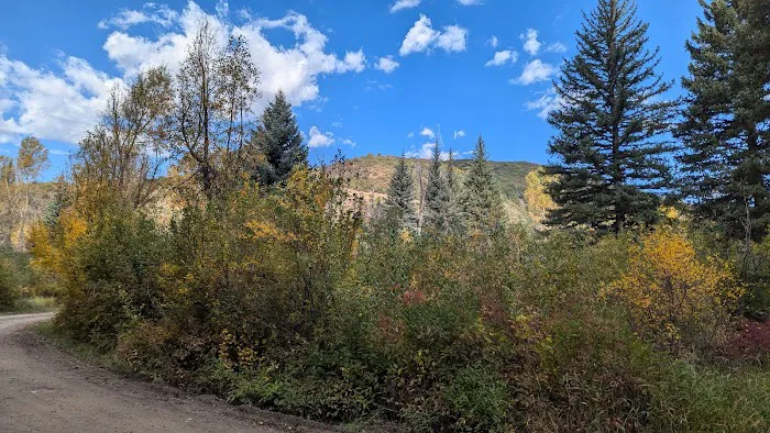 Erickson Springs Campground Picture 7
