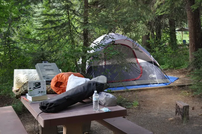 Erickson Springs Campground Picture 6
