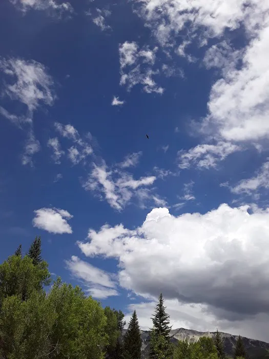 Erickson Springs Campground Picture 4