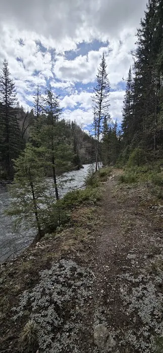 Bogan Flats Group Campground Picture 2