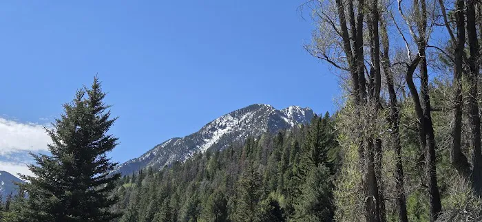 Bogan Flats Campground Picture 3