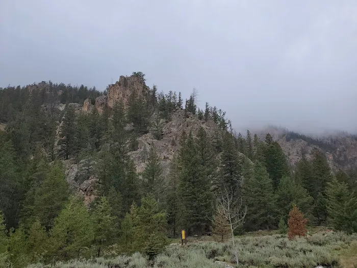 Spring Creek Campground Picture 2