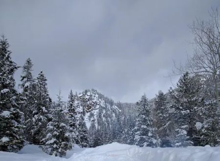 Spring Creek Campground