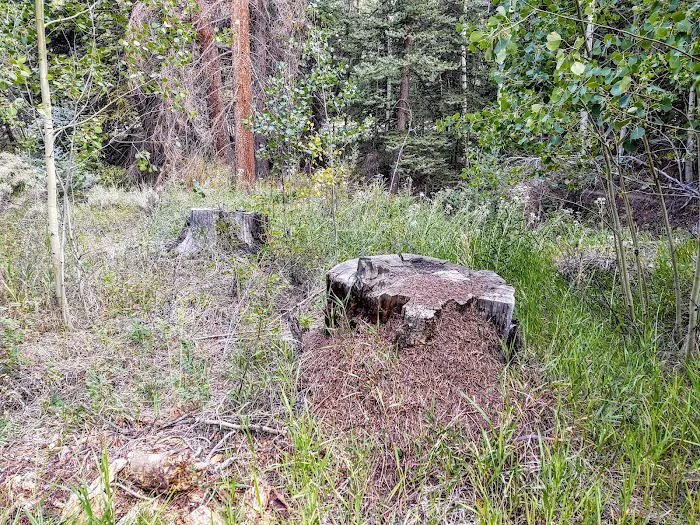 One Mile Campground Picture 9