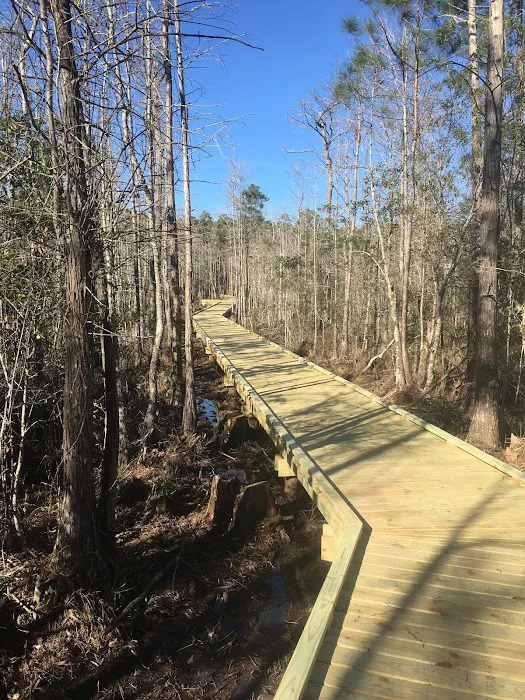 Sun Outdoors Orange Beach Picture 10