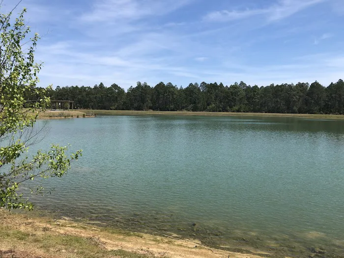 Pandion Ridge Luxury RV Resort Picture 8