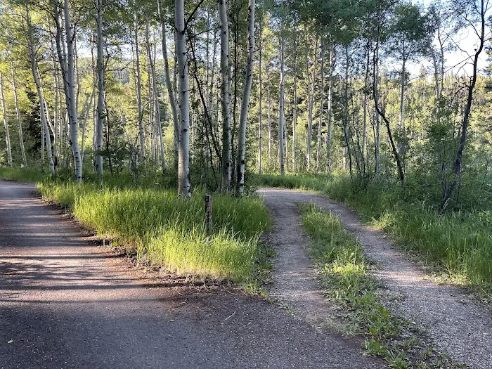 McClure Campground - Paonia RD Picture 8
