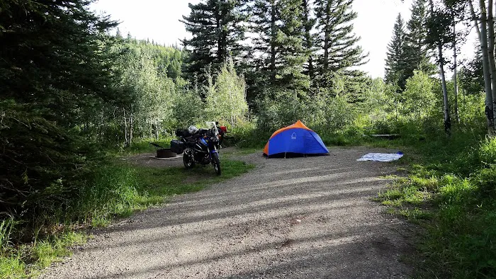 McClure Campground - Paonia RD Picture 3