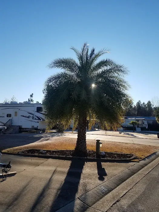 Plantation Harbor RV Resort Picture 5