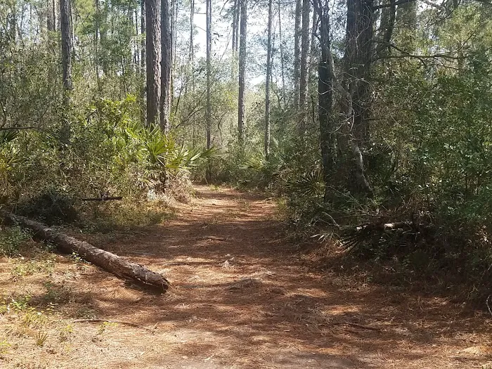 Plantation Harbor RV Resort Picture 6
