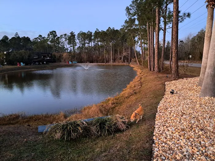 Sugar Sands RV Resort Picture 2