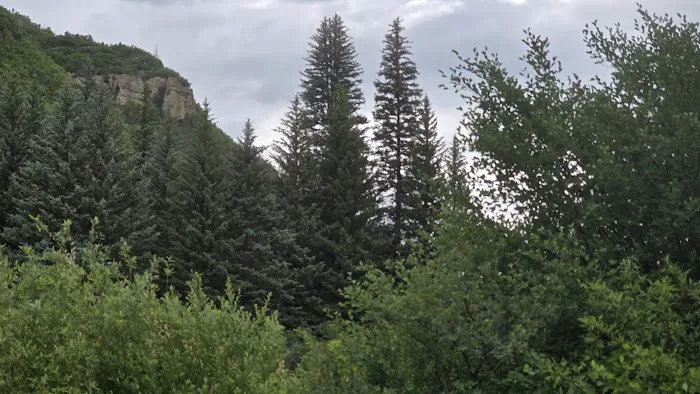 Hawsapple Campground Picture 5
